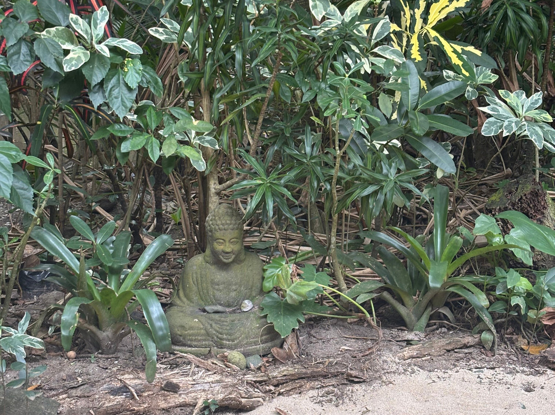 Sigatoka Spa-辛加东卡必去景点