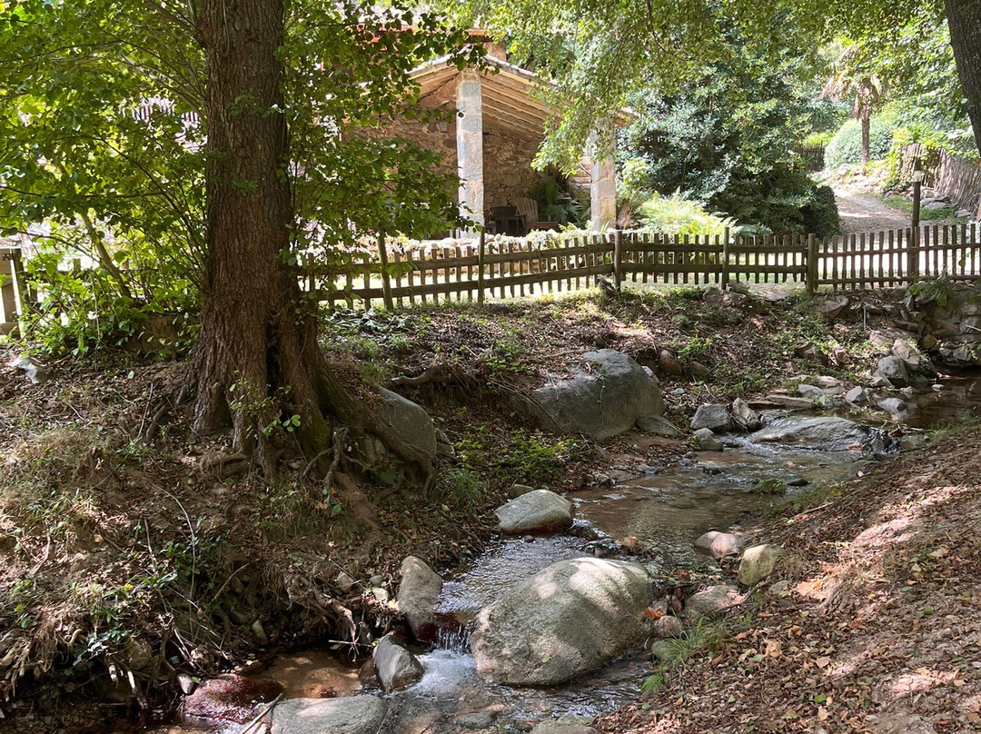 El Moli de Can Aulet主图