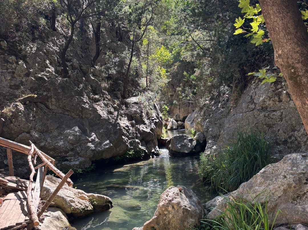 Samos Dream Tours-Kokkari必去景点