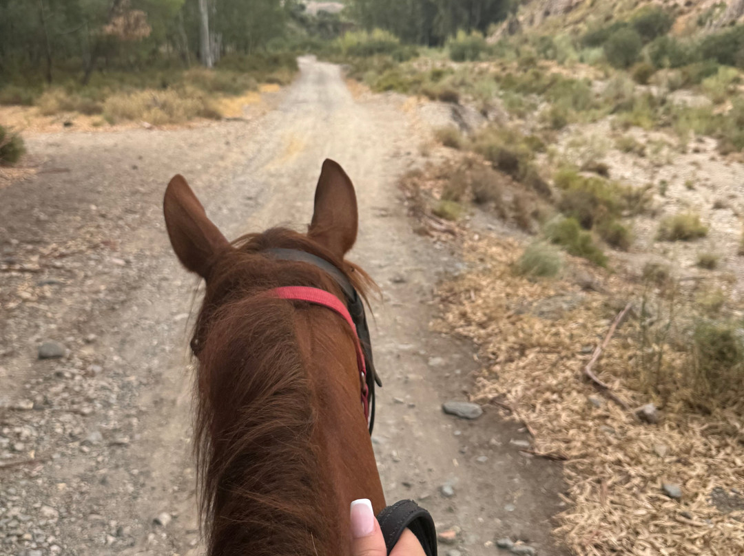 Pegasus Riding Centre-Orgiva必去景点
