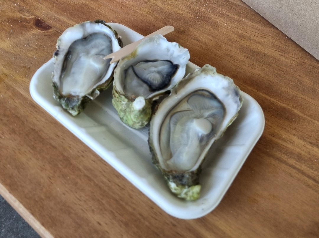 Conwy Mussels Co.-Conwy必去景点