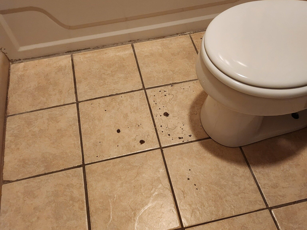 日落湾汽车旅馆主图