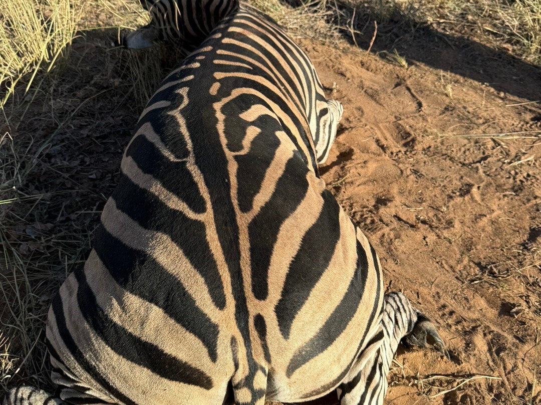 Kuche Safaris-Lephalale必去景点