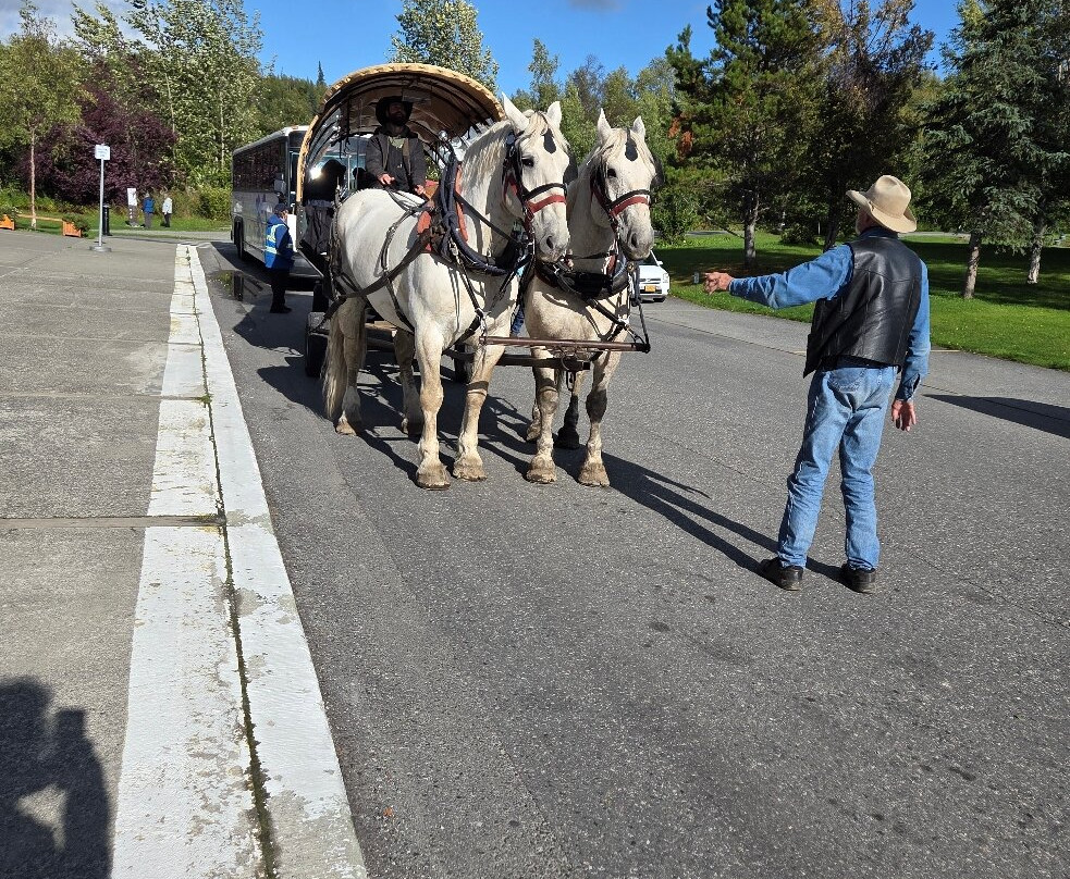 D & S Alaskan Trail Rides-塔尔基特纳必去景点