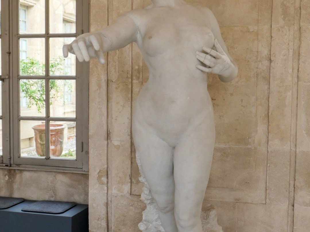 卡维博物馆-阿维尼翁必去景点