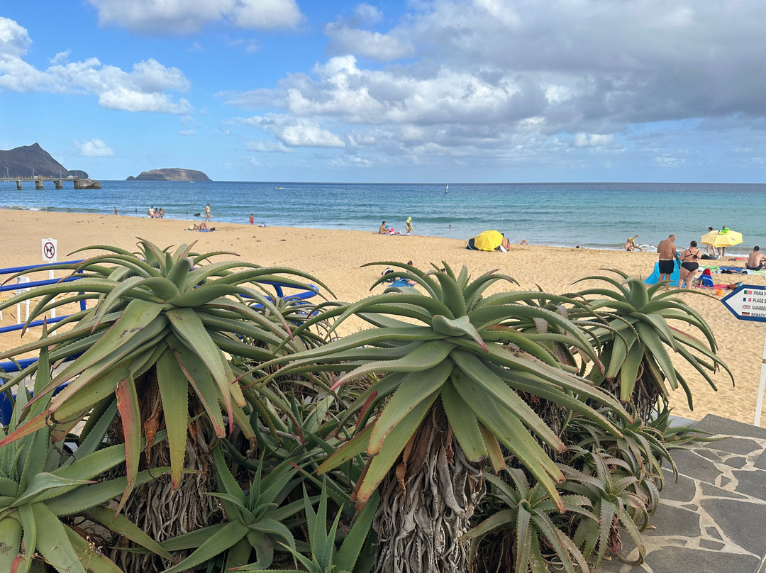 Lazermar Viagens e Turismo-Porto Santo Island必去景点