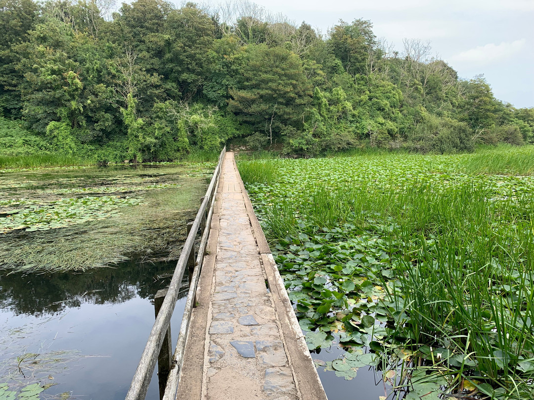 Lily Ponds-Bosherston必去景点