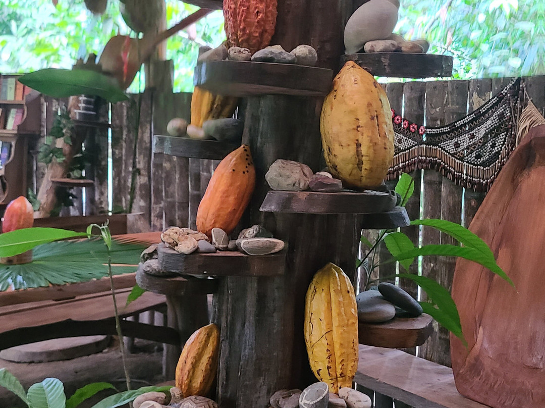 Akangau Jungle Tours-Tena必去景点