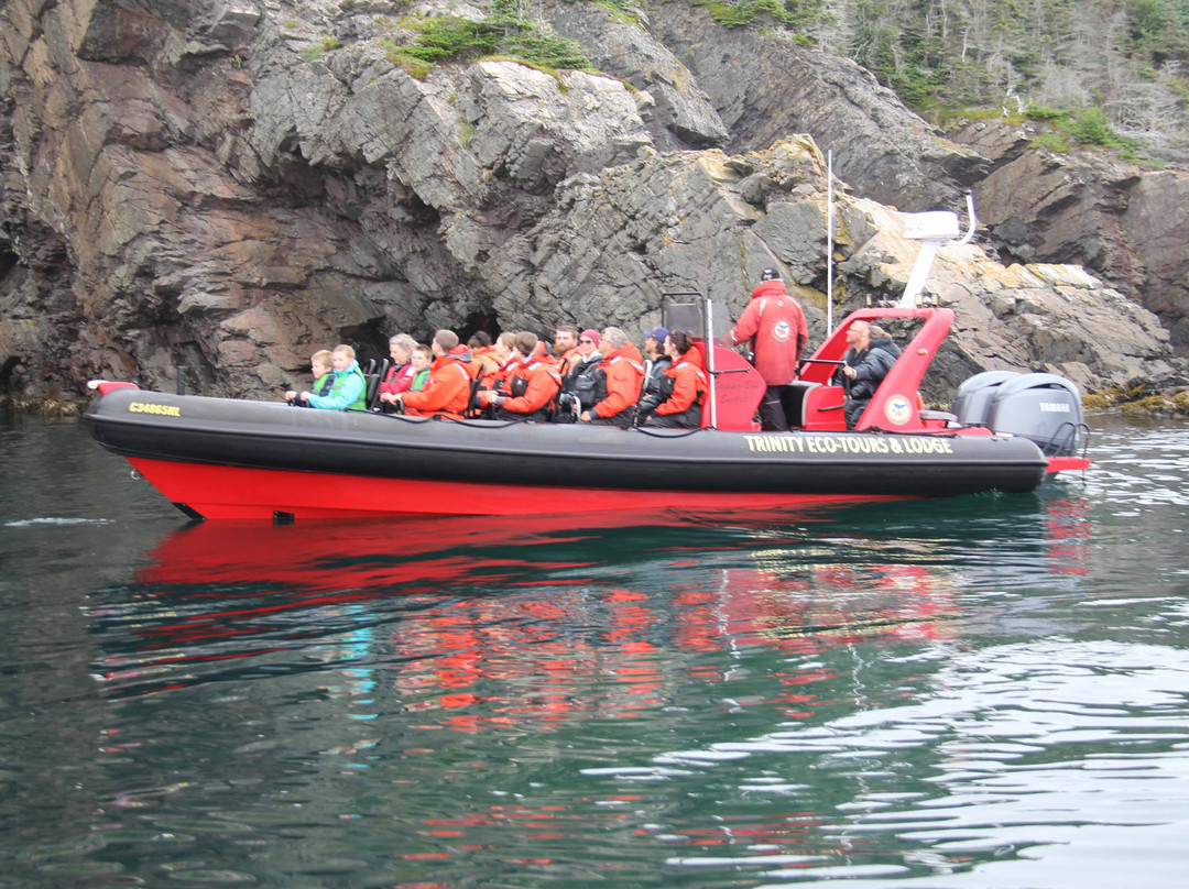 Trinity Eco-Tours and Lodge主图