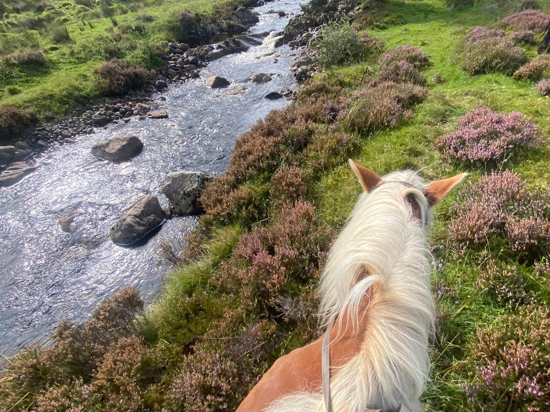 Highland Trekking and Trail Riding-Cannich必去景点
