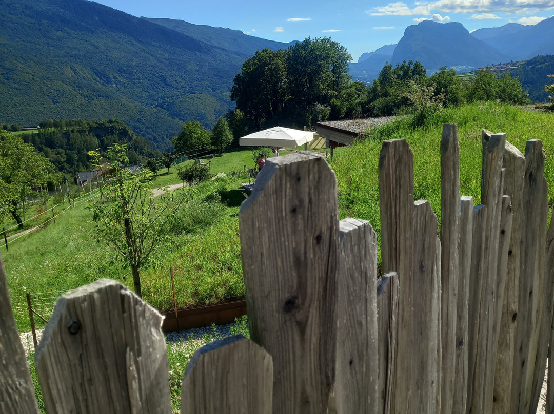 Azienda Agricola & Agriturismo Il Ritorno-San Lorenzo Dorsino必去景点