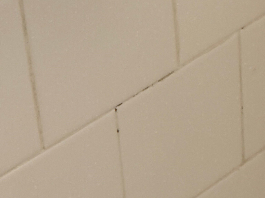 Inn On The Square主图