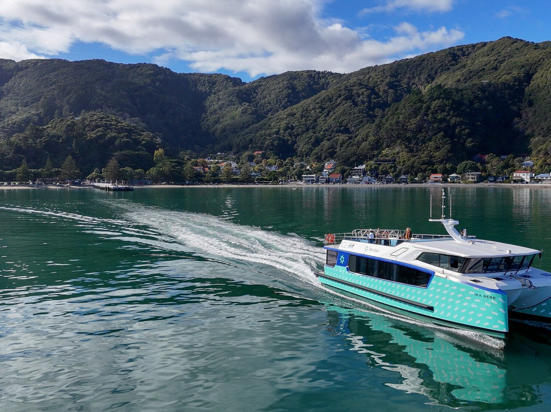 East By West Ferries-惠灵顿必去景点