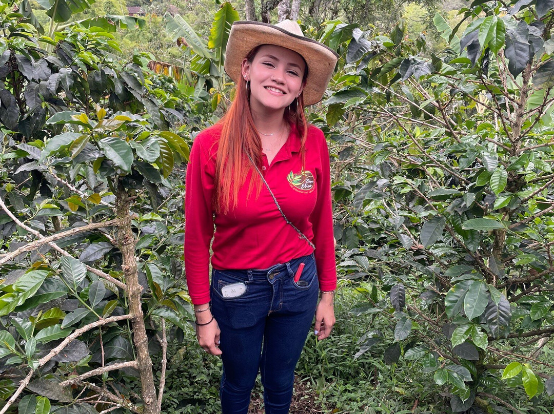 Finca Cafetera Don Elias-萨伦托必去景点