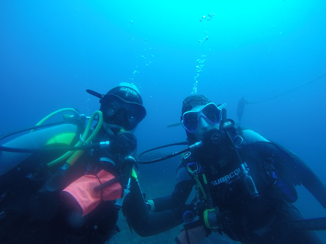 Dolphins Diving Center-犹兰特德玛必去景点