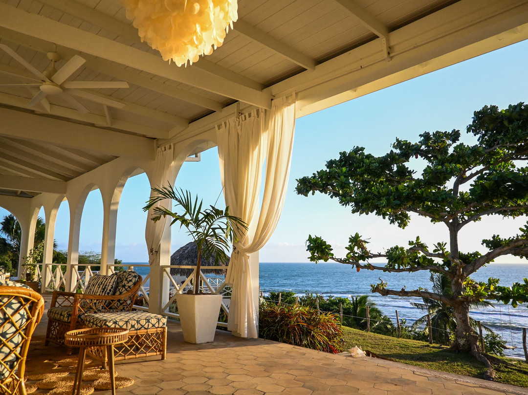 MycoMeditations Psilocybin-Assisted Retreats-瑰宝滩必去景点