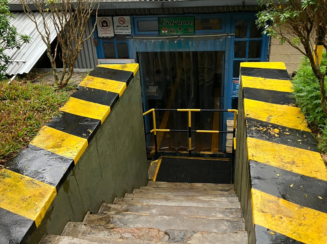 Kinellan Tea Factory-埃勒必去景点