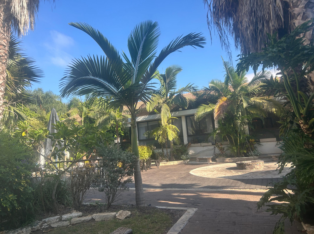 Hotel Eden Inn主图