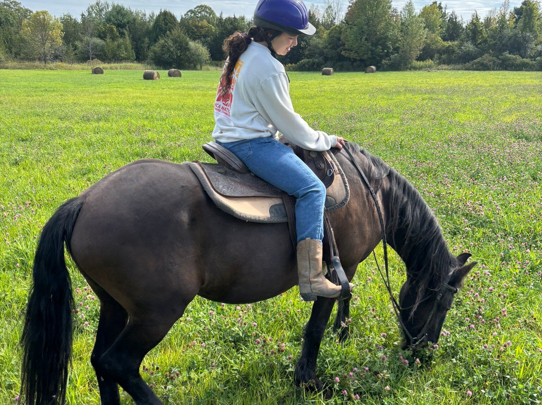 Breakaway Farm-Grand Isle必去景点