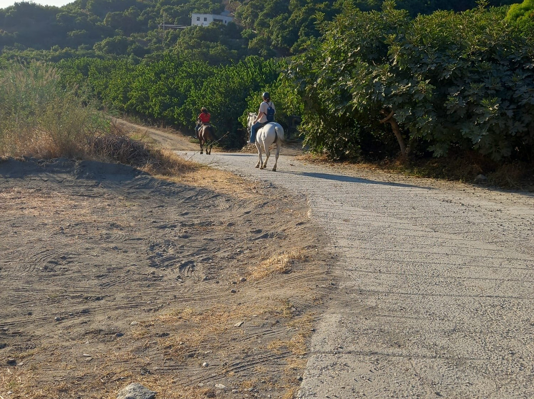 Andale Riding Nerja-内尔哈必去景点