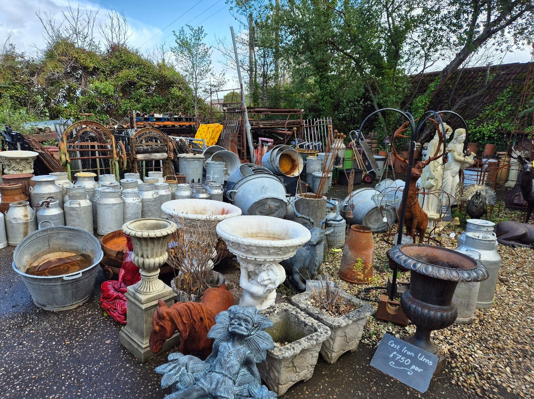 Chris's Crackers The Junk Shop-Carhampton必去景点