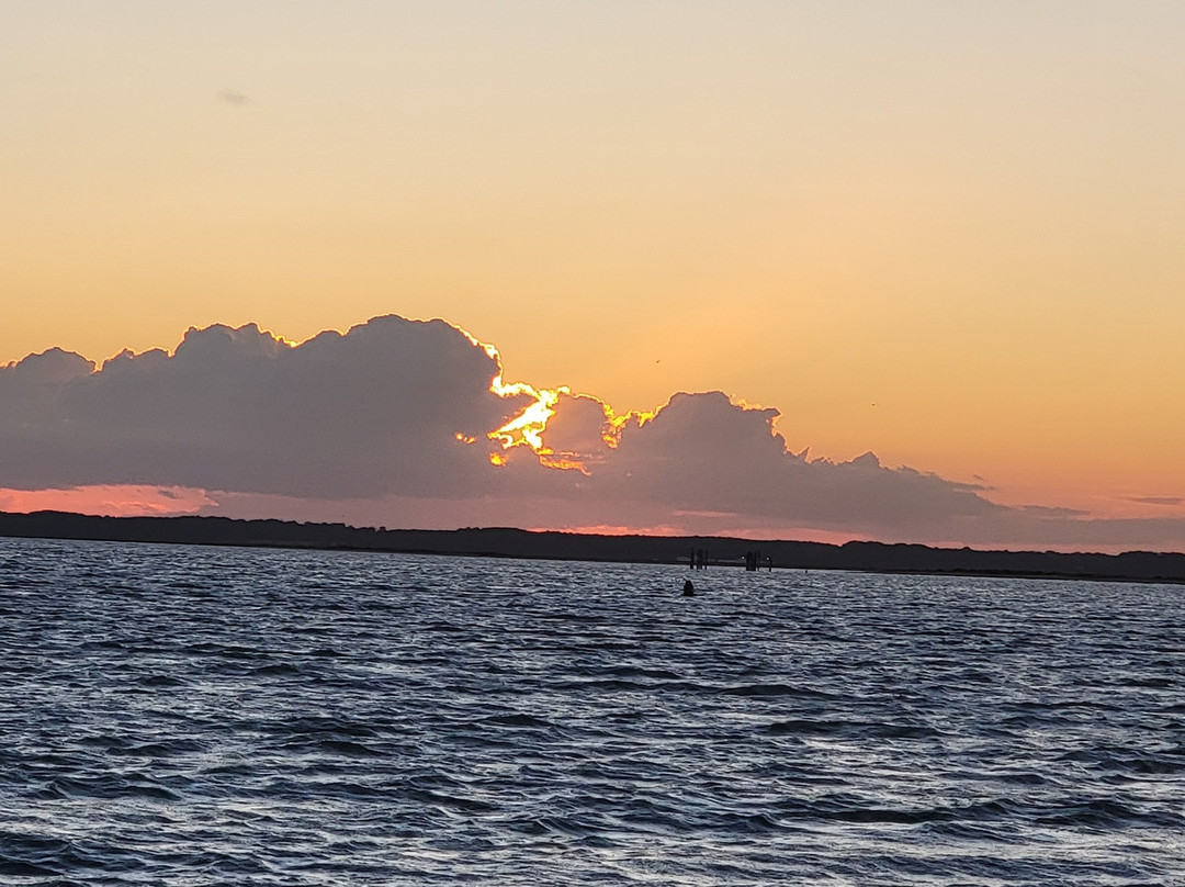 Barnacle Bill's Wild Pony Boat Tours-钦科蒂格岛必去景点