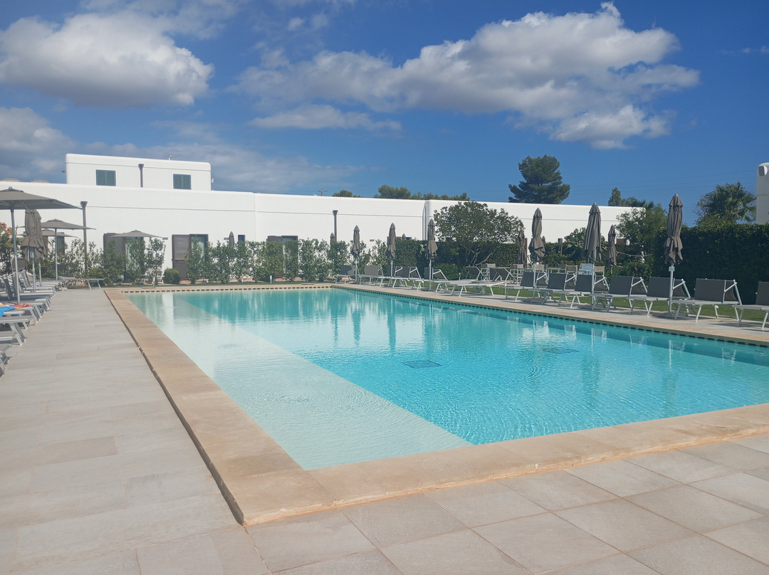 Delle Rose Horses Club主图