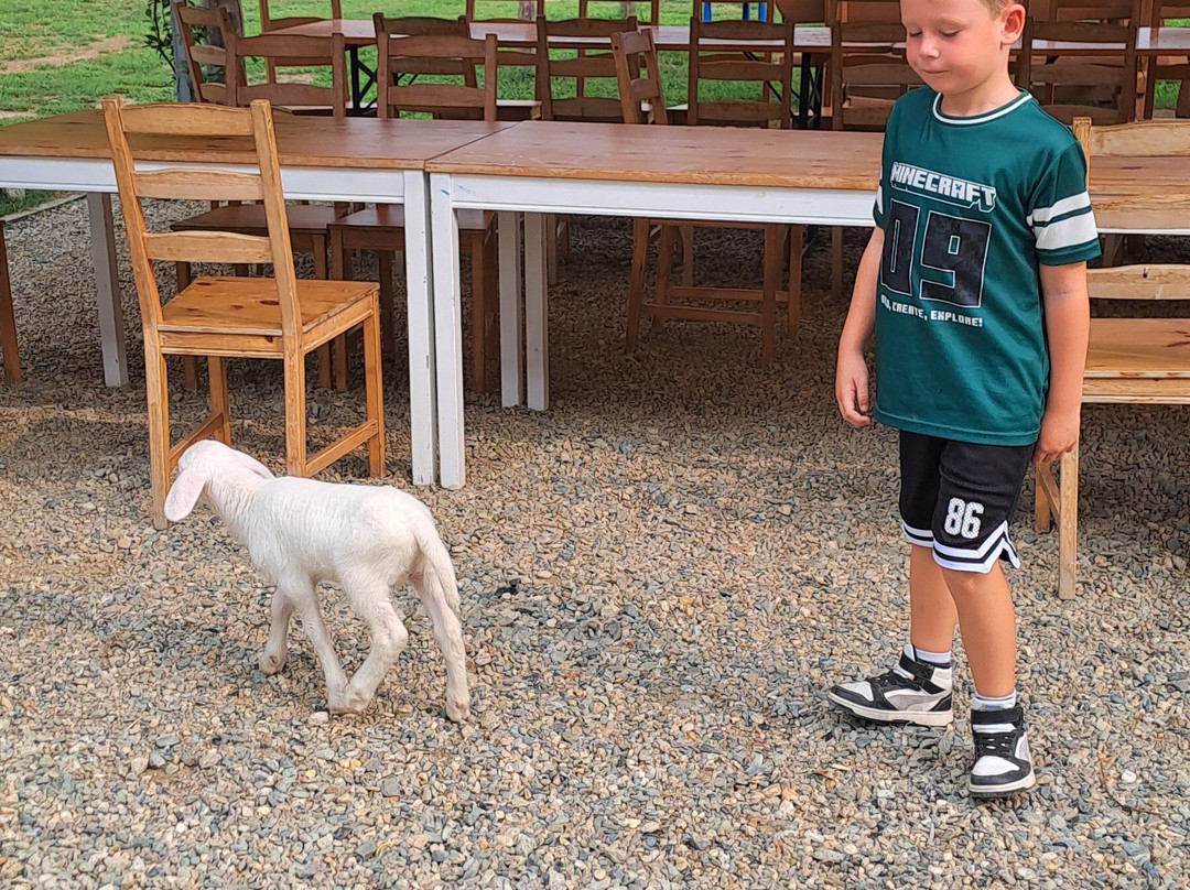 Cascina Granello Di Senape-Frossasco必去景点