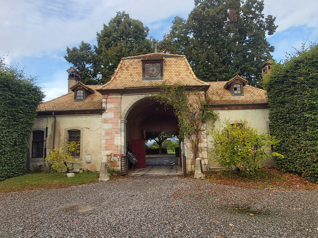 Château de Ripaille-托农莱班必去景点