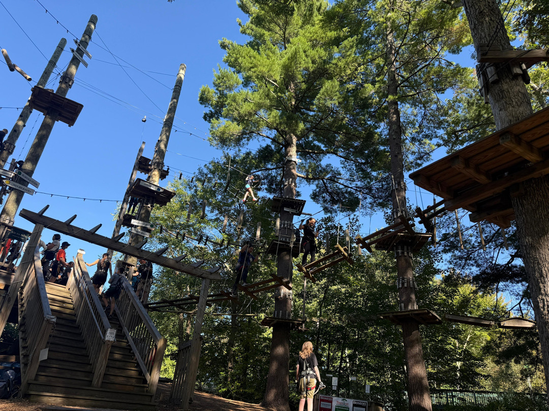 TreeTop Adventures Canton-Canton必去景点