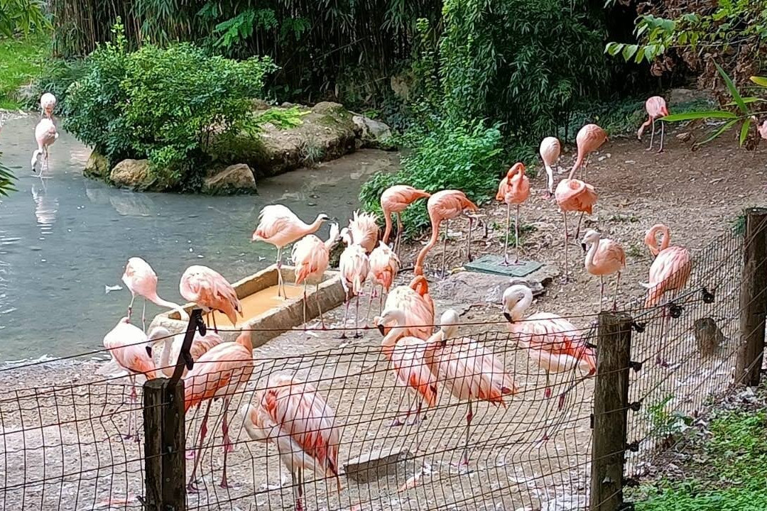 Parco Natura Viva-布索伦戈必去景点