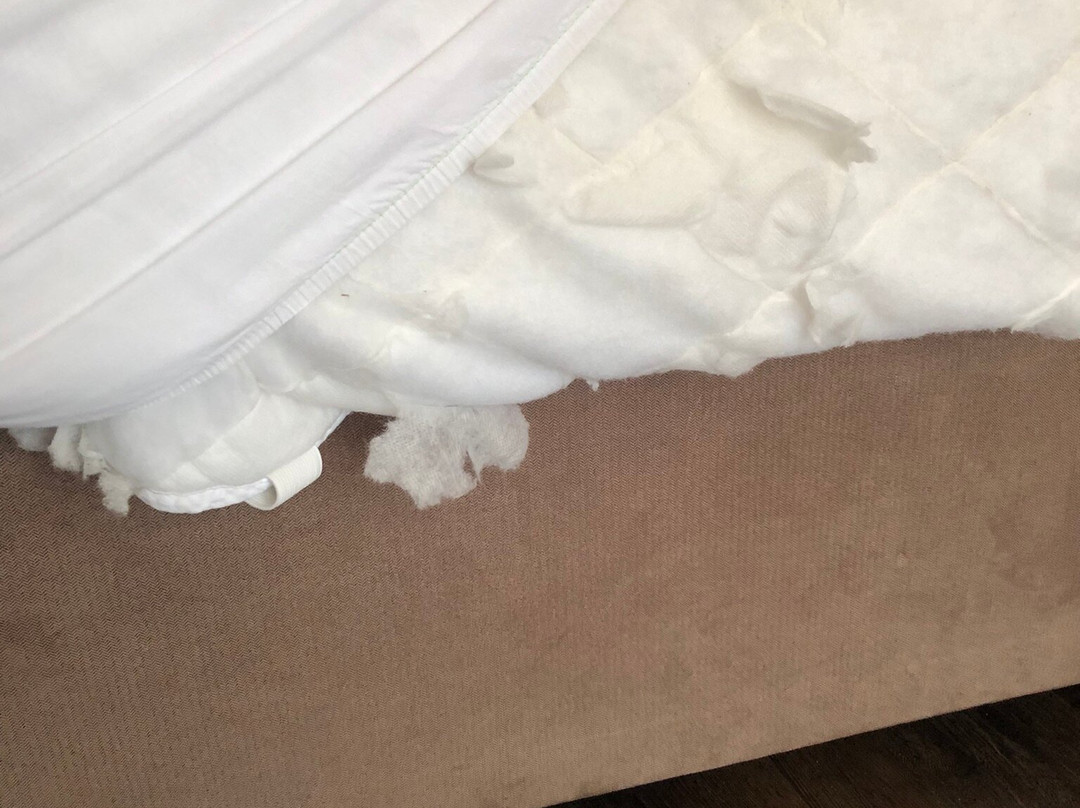 The Links Country Park Hotel主图