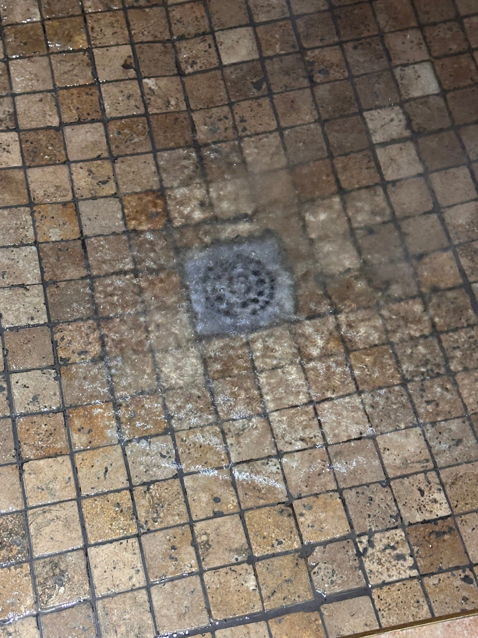 Halali Resort-官方