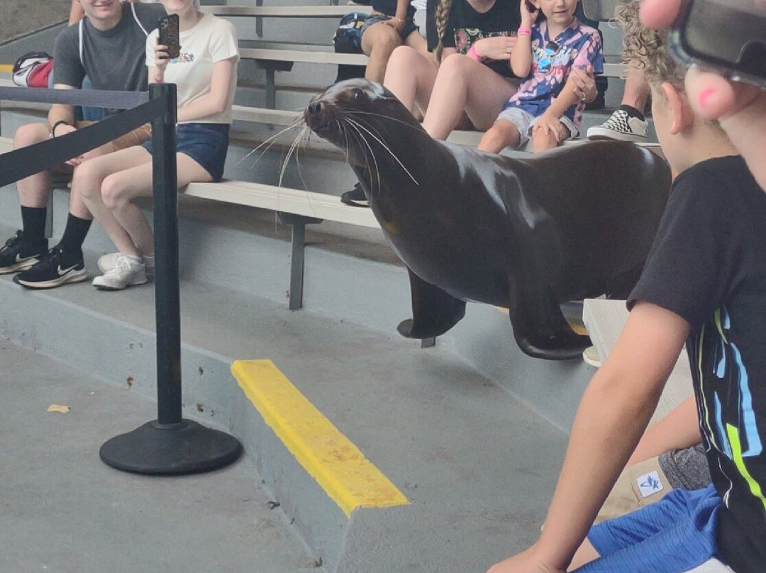 Tulsa Zoo-塔尔萨必去景点