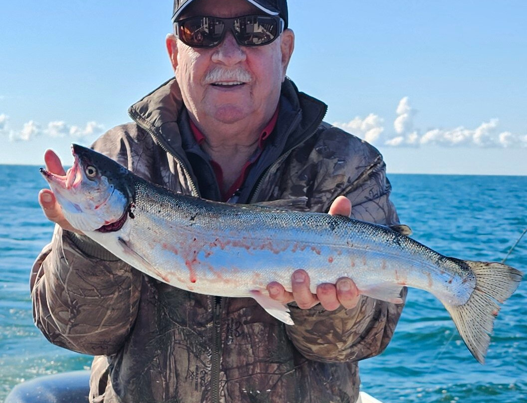 Fish Finder Charters-Carrying Place必去景点