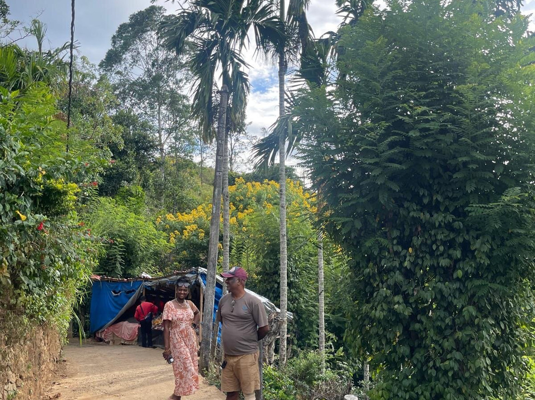 Exclusively Sri Lanka-Raddolugama必去景点