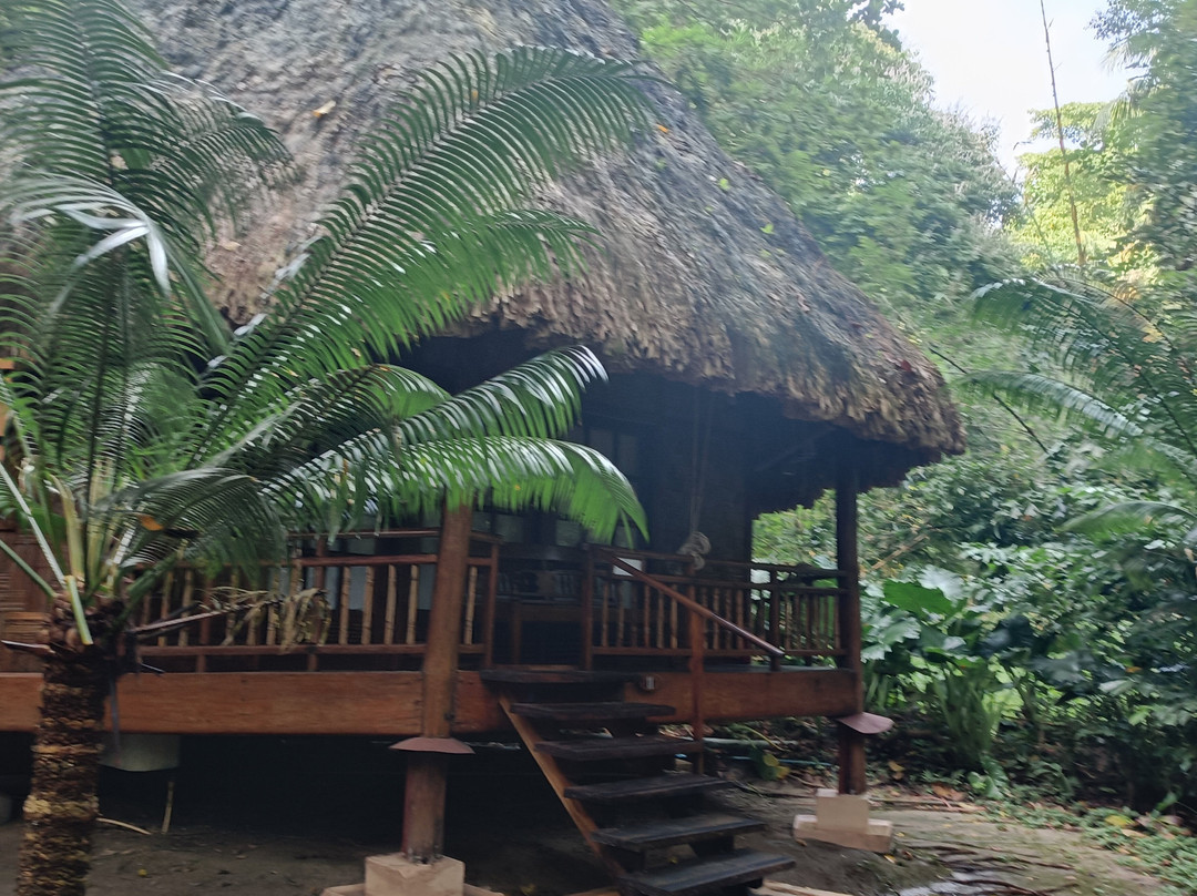 哈夫洛克赤脚酒店主图