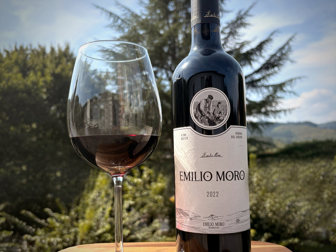 Bediako Batzoki Berria