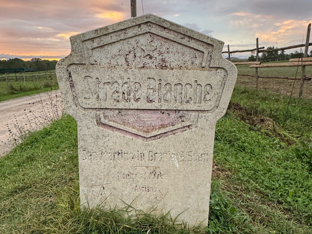 Agriturismo San Fabiano主图