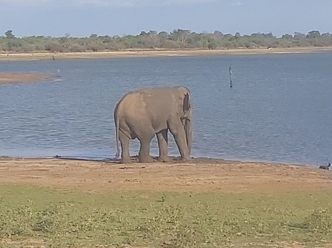RS tour and cads-卡图纳耶克必去景点