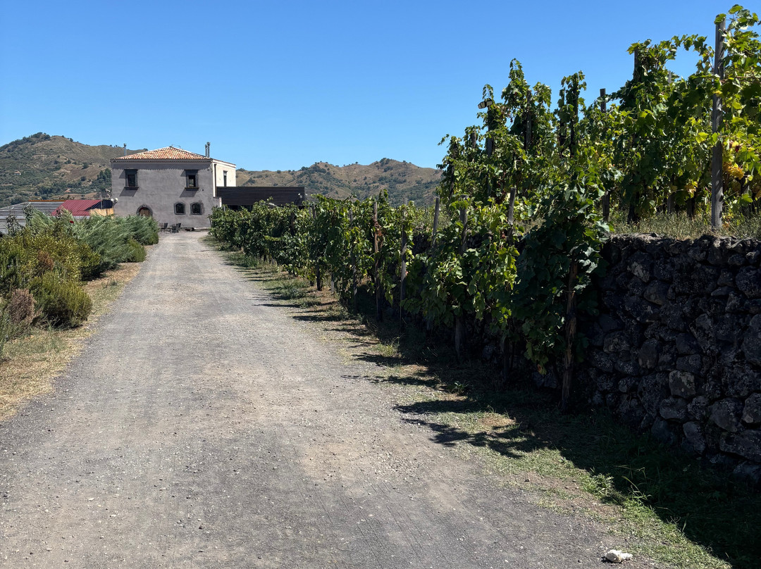 Open Sicily Experiences-陶尔米纳必去景点