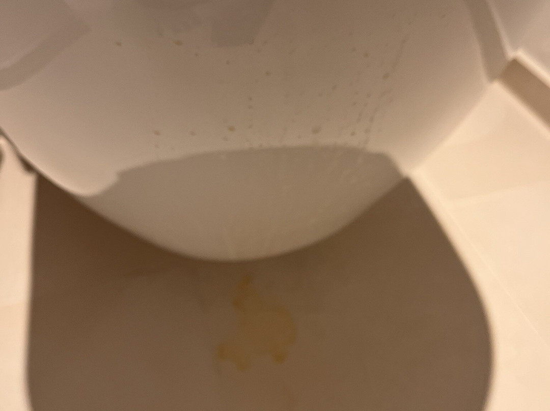 Dorint Frankfurt Oberursel主图