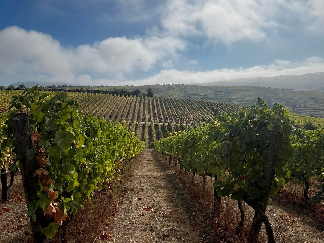 Quinta da Faisca-Favaios必去景点