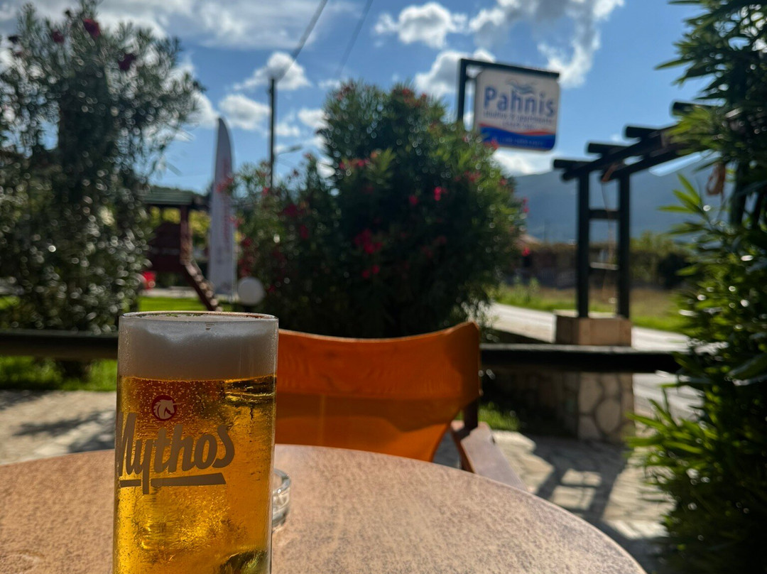 Pahnis Studios主图