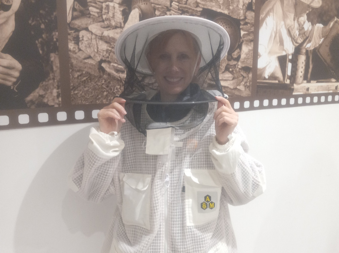 Bee Museum-Pastida必去景点