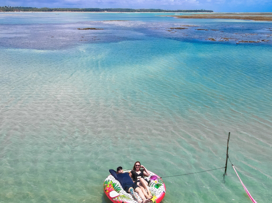 Piscinas Naturais-Sao Miguel dos Milagres必去景点