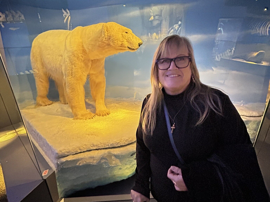 自然历史博物馆-斯德哥尔摩必去景点