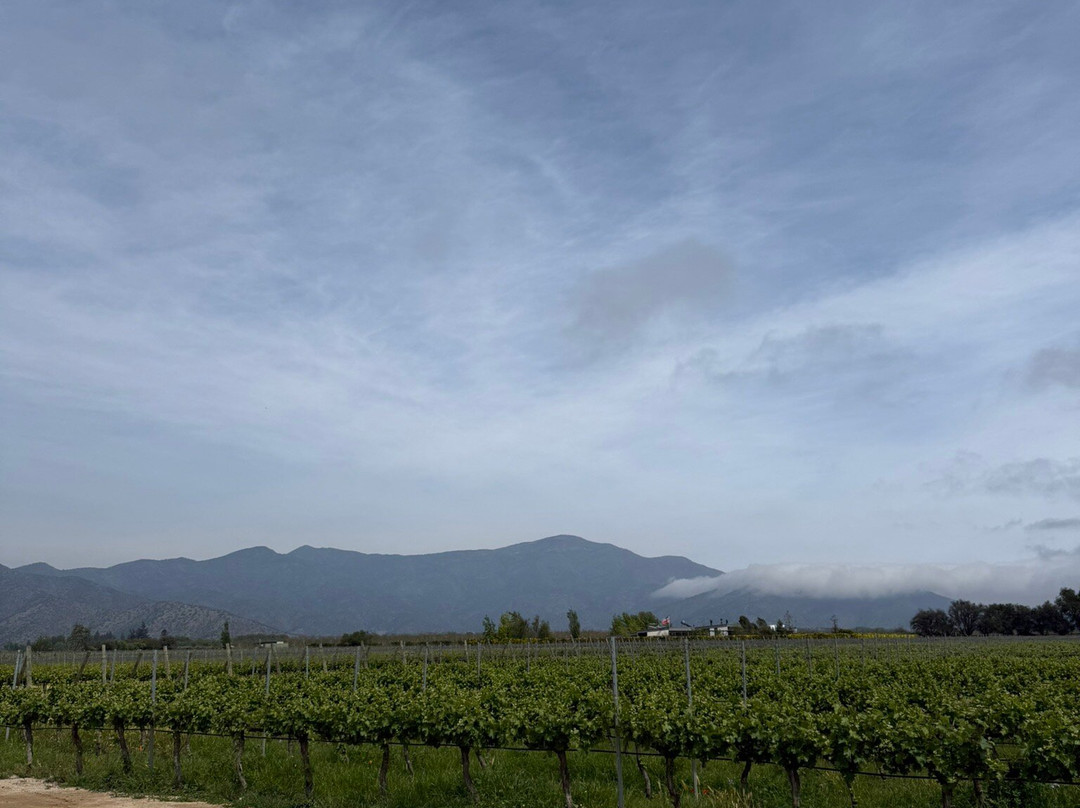 Viña Santa Ema-Isla de Maipo必去景点