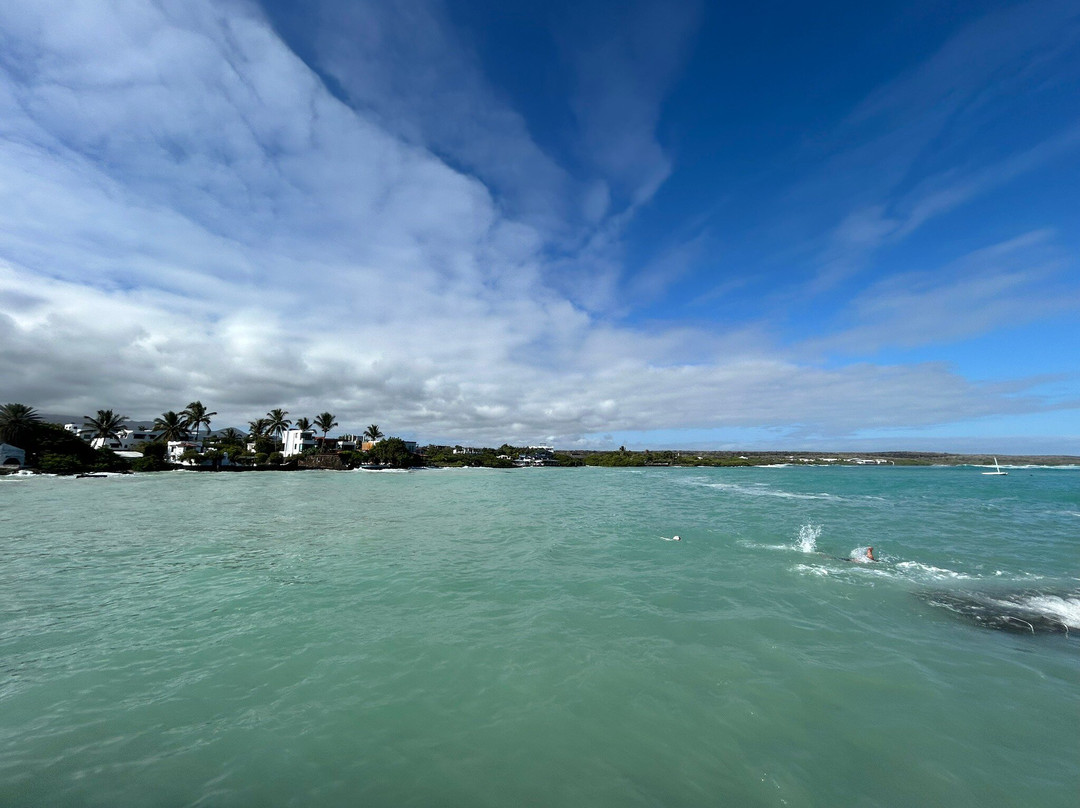 Malecon de Puerto Ayora-阿约拉港必去景点