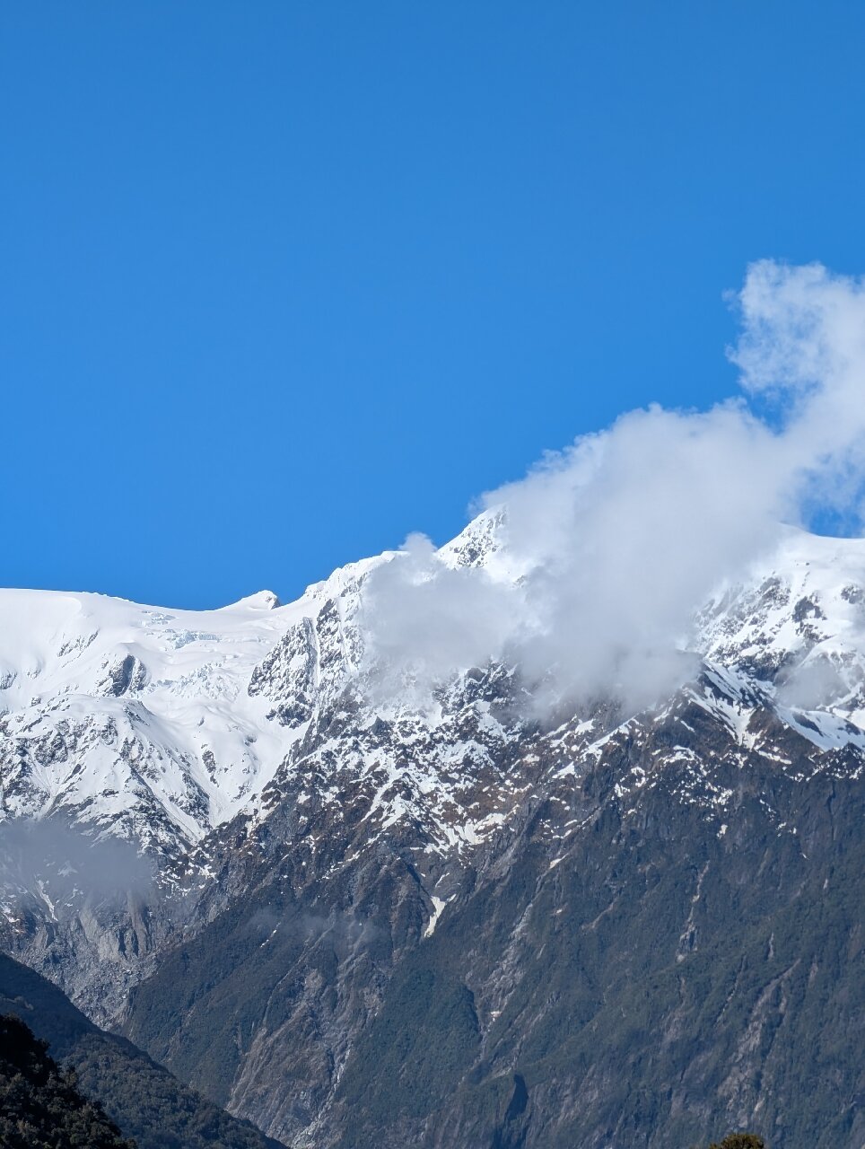 法兰兹．约瑟夫冰河风景酒店-官方